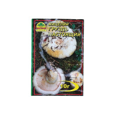 Мицелий гриба Груздь Настоящий, 10г