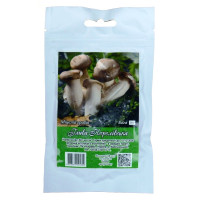 Міцелій гриба Глива королівська, 50г