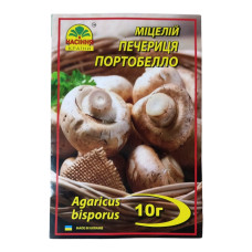 Мицелий гриба Шампиньон Портобелло, 10г