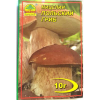 Міцелій гриба Польський, 10г