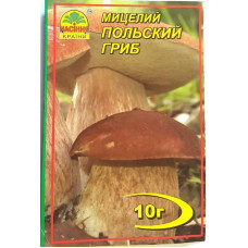 Мицелий гриба Польский, 10г