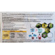 Інсектицид Фіто+Жукоїд огірки та баштанні, Adiant+, 10мл+5мл