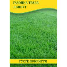 Семена газонной травы Лилипут, 1 кг