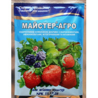 Удобрение для ягодных культур Мастер, 100г
