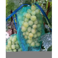 Сетка для защиты гроздей винограда от ос и птиц, размер 20*30 см, 2 кг