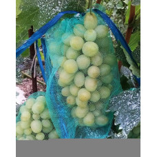Сетка для защиты гроздей винограда от ос и птиц, размер 20*30 см, 2 кг