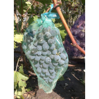 Сетка для защиты гроздей винограда от ос и птиц, размер 25*35 см, 5 кг