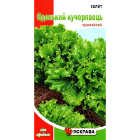 Насіння салату Одеський кучерявець, 1г