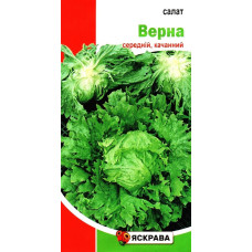 Насіння салату Верна головчастий, 1г