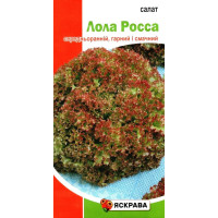 Семена салата Лола Росса, 1г