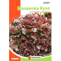 Насіння салату Малинова куля, 5г
