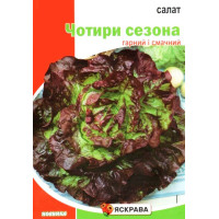Семена салата Четыре сезона, 10г