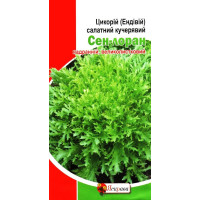 Насіння цикорію салатного кучерявого Сен-лоран, 1г