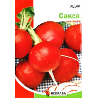 Насіння редису Сакса, 20г