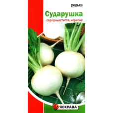 Семена редьки Белая Сударушка, 2г