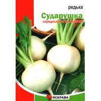 Семена редьки Белая Сударушка, 10г