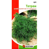 Семена укропа Татран кустовой, 5г