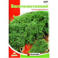 Насіння кропу Багатолистковий, 20г