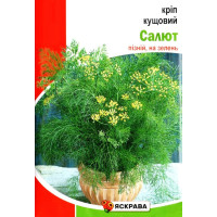 Насіння кропу Салют, кущовий, 20г