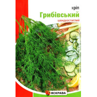 Семена укропа Грибовский, 20г