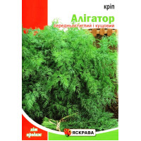 Насіння кропу Алігатор, кущовий, 15г