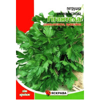 Насіння петрушки Гігантела, 20г