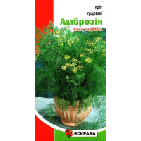 Семена укропа Амброзия, кустовой, 2,5г
