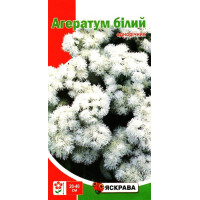 Насіння агератуму Бiлий, 0,1г