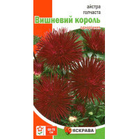 Насіння айстри голчастої Вишневий король, бордова, 0,3г