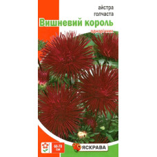 Семена астры игольчатой ​​Вишневый король, бордовая, 0,3г