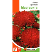 Семена астры карликовой Маргарита красная, 0,3г
