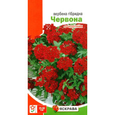 Семена вербены гибридной Красная, 0,1г