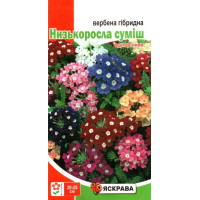 Насіння вербени гібридної низькоросла суміш, 0,2г