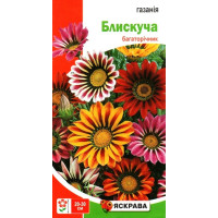 Насіння газанiї Блискуча, 0,1г