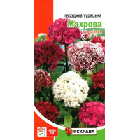 Насіння гвоздики Турецька махрова, 0,5г