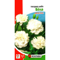 Насіння гвоздики Шабо Біла, 0,1г