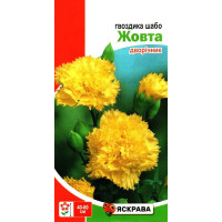 Насіння гвоздики Шабо Жовта, 0,1г