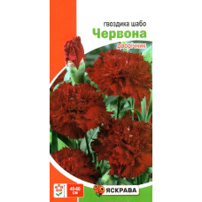 Семена гвоздики Шабо Красная, 0,1г