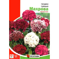 Семена гвоздики Турецкая махровая, 3г