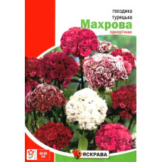Семена гвоздики Турецкая махровая, 3г