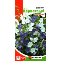 Насіння дзвоників Карпатськi Багаторiчнi, 0,1г