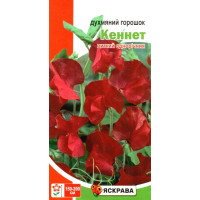 Насіння духмяного горошку Кеннет червоний, 1г
