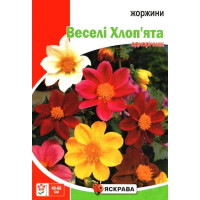 Семена георгин Веселые Ребята, 2г