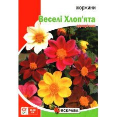 Семена георгин Веселые Ребята, 2г