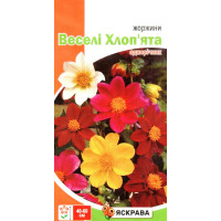 Семена георгин Веселые Ребята смесь, 0,3г