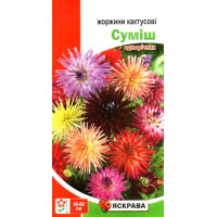 Насіння жоржин кактусові суміш, 0,2г