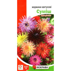 Семена георгин кактусовая смесь, 0,2г
