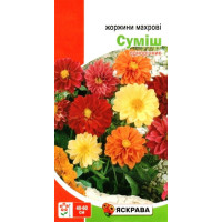 Семена георгин махровые смесь, 0,3г