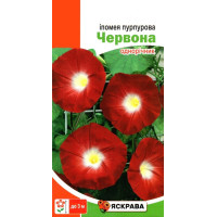 Семена ипомеи пурпурной Красная, 1г