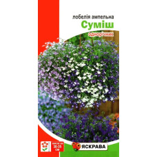 Семена лобелии ампельной смесь, 0,1г